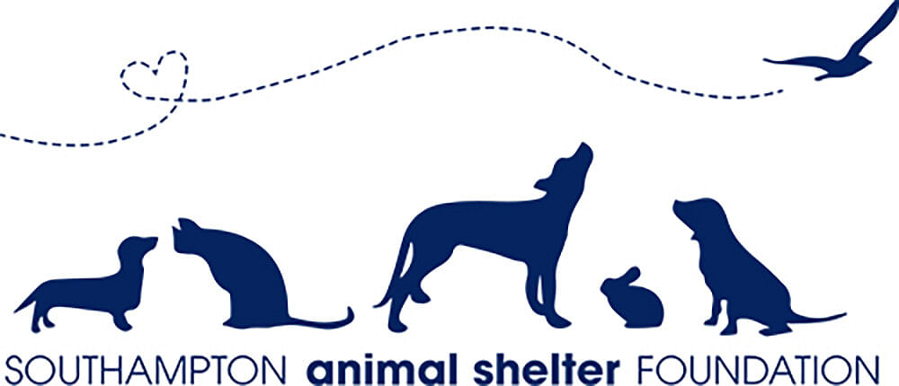 Animal Shelters 7