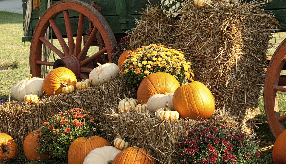 Autumn Antique Wagon and Pumpkin Display 2022 Main